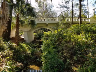 Azalea Park photo 3