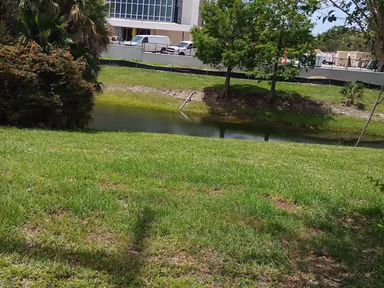 Palm Bay City Hall photo 4