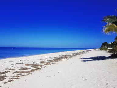 Belleair Shore photo 1