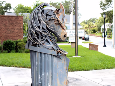 City of Brooksville, Florida photo 3