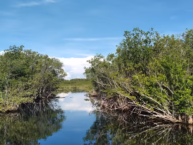 Collier County photo 4