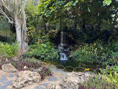 Cypress Gardens photo 1