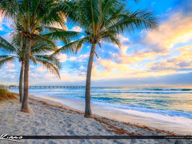 The City of Dania Beach photo 2