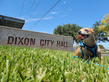 Dixon City Hall photo 3