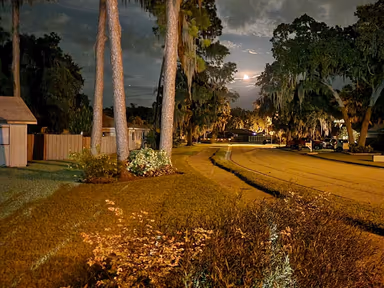 Ellenton photo 3