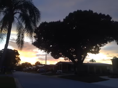 Ellenton photo 4