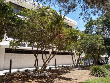 Sarasota City Hall photo 1