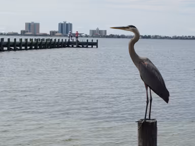 City of Gulf Breeze photo 1