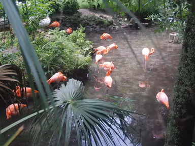 Homosassa Springs photo 2
