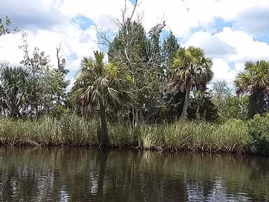 Homosassa Springs photo 4