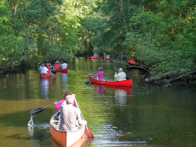 Homosassa photo 4