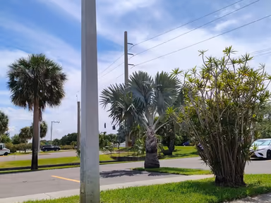 Indian Harbour Beach City Hall photo 3