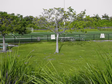 Ives Estates Park photo 2