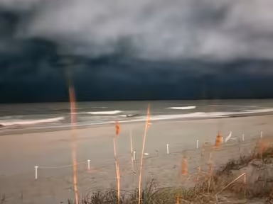 Jacksonville Beach City Hall photo 4