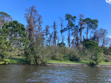Lake Buena Vista photo 3