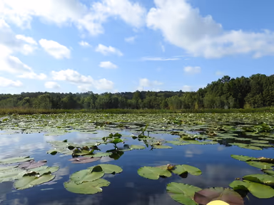 Lake Lindsey photo 1