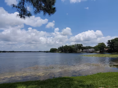 Lake Magdalene photo 1