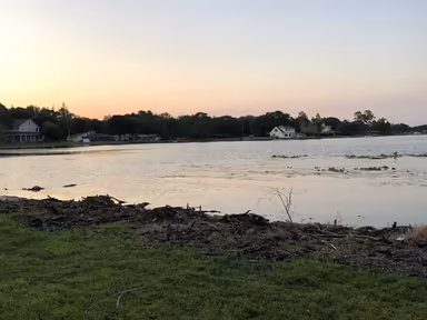 Lake Magdalene photo 4