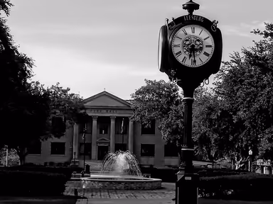 Leesburg City Hall photo 2