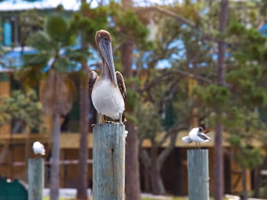 Lower Grand Lagoon photo 2