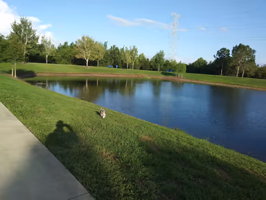 Meadow Woods Recreation Center photo 1