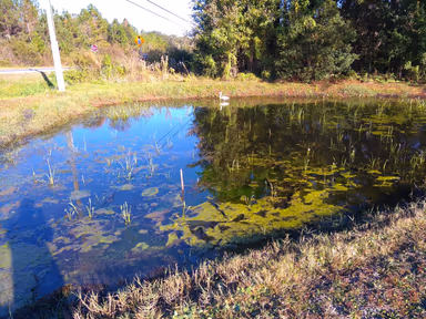 Middleburg photo 2
