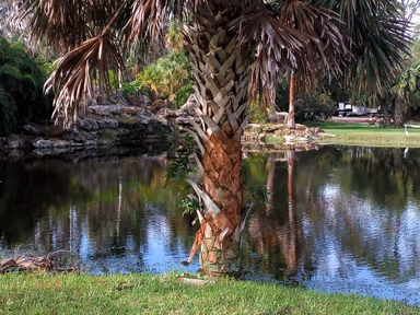 Nokomis photo 1