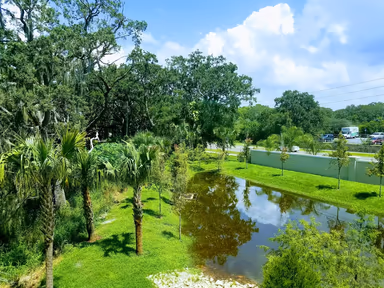 Palm Harbor photo 1