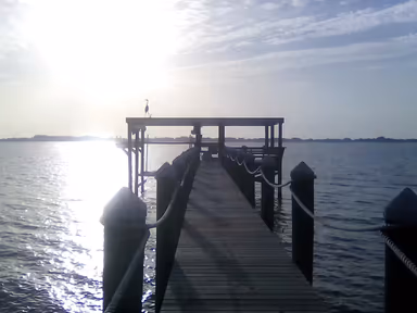 Palm Shores photo 1