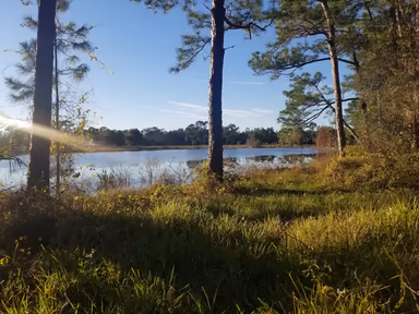 Pine Lakes photo 1