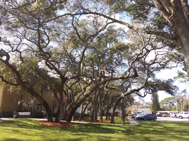 Pinellas Park City Hall photo 3
