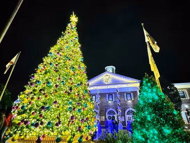 Plantation City Hall photo 4