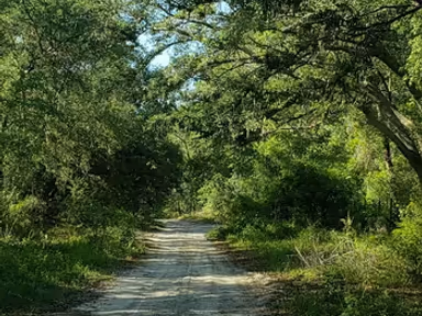 Pomona Park photo 1