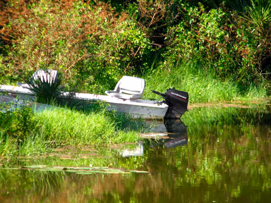 Port Charlotte photo 2