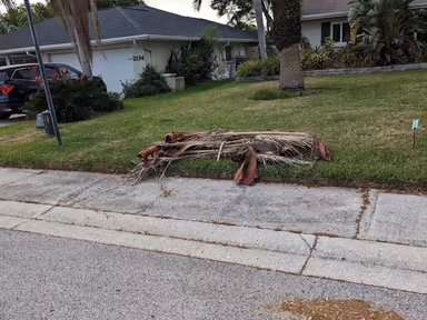 Safety Harbor City Hall photo 4