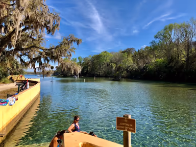 Salt Springs Recreation Area photo 1