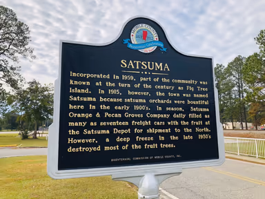 City of Satsuma photo 4