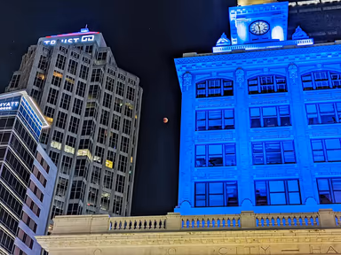 Tampa City Hall photo 1