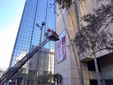 Tampa City Hall photo 3