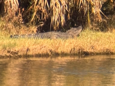 Viera West photo 1