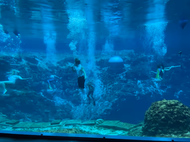 Weeki Wachee Springs State Park photo 4