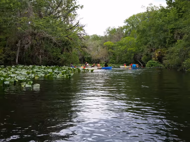 Wekiwa Springs photo 1