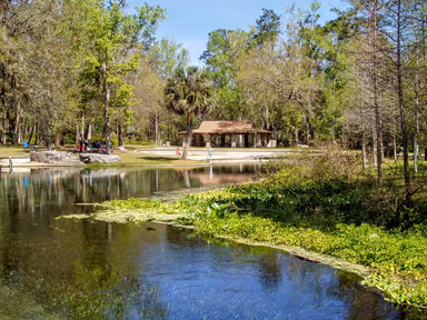 Wekiwa Springs photo 4
