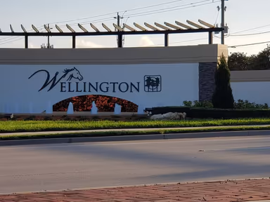 Village of Wellington photo 1