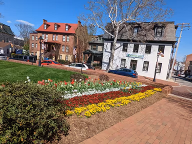 Annapolis City Hall photo 2