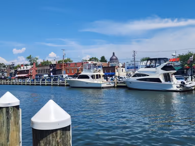 Annapolis City Hall photo 3