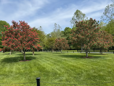 Ashton-Sandy Spring photo 1