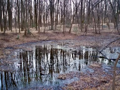 Colesville photo 1