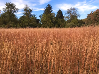 Eldersburg photo 1