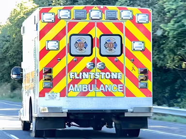 Flintstone Volunteer Fire Co photo 1